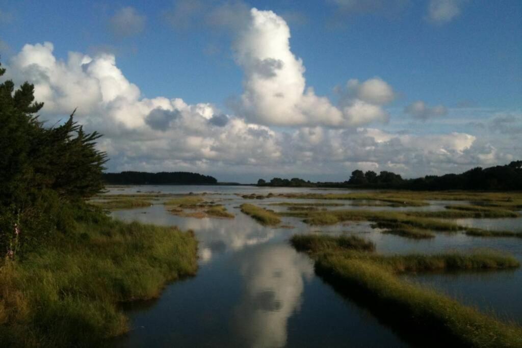 Maison Avec Jardin Clos. Animaux Acceptes - Wifi - Proche Plages De La Trinite Sur Mer Et Carnac מראה חיצוני תמונה